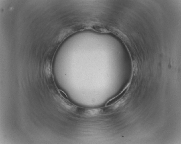 X0000069380479200606021611