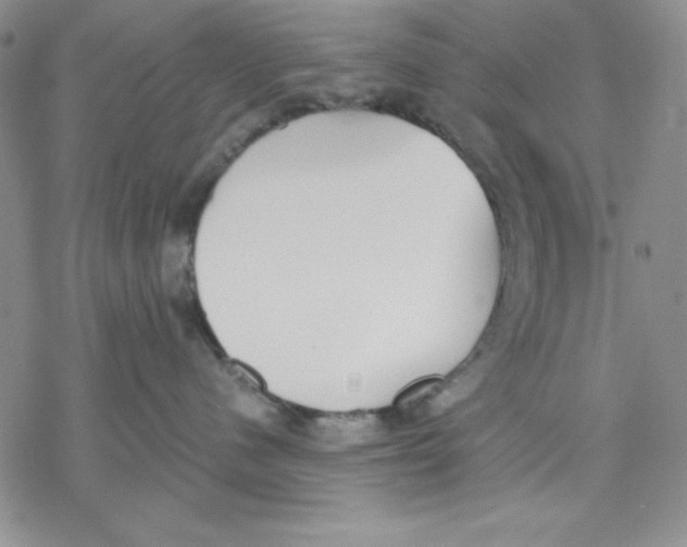 X0000069380480200606021611