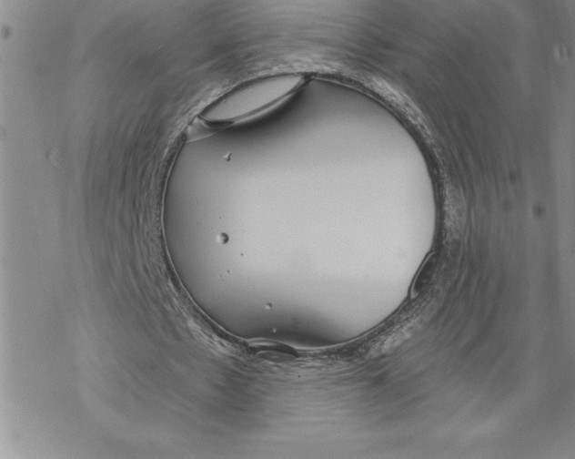 X0000069380481200606021610