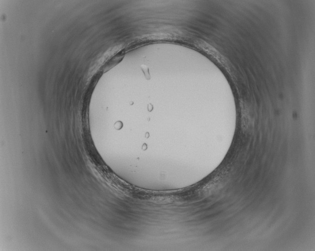 X0000069380482200606021610