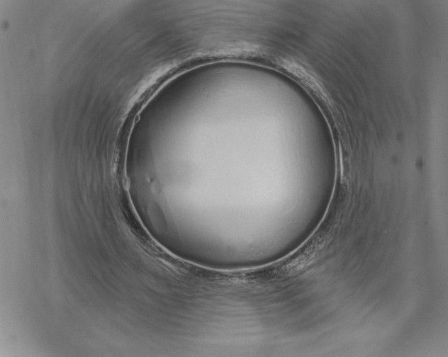 X0000069380483200606021610