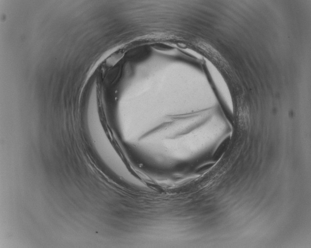 X0000069380484200606021610