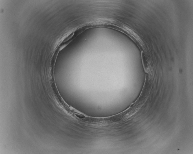 X0000069380485200606021610