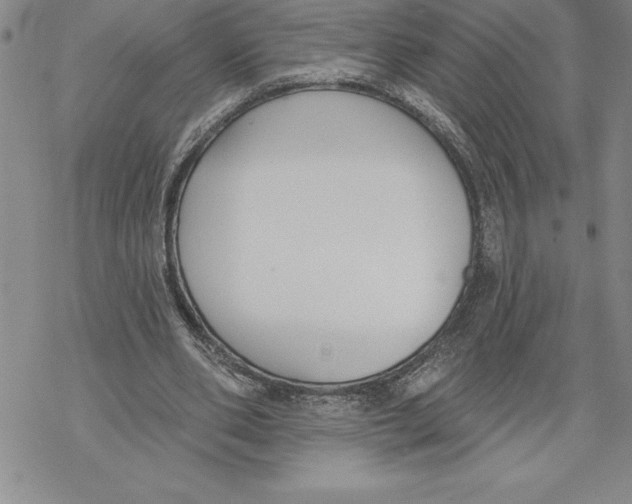 X0000069380486200606021610