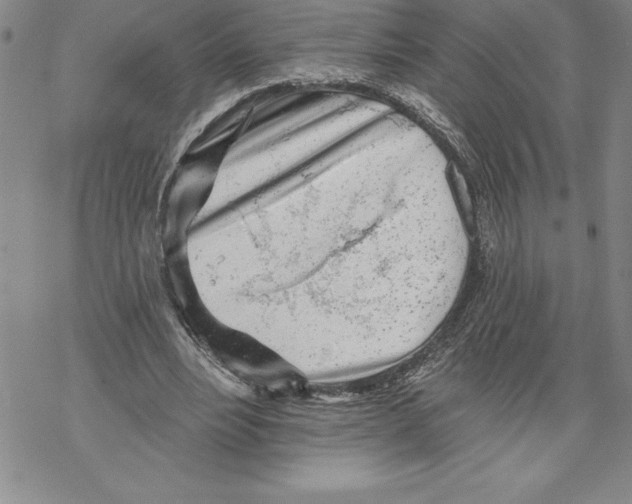 X0000069380488200606021610