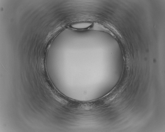 X0000069380489200606021610