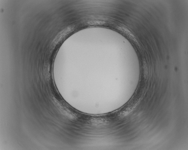 X0000069380490200606021610