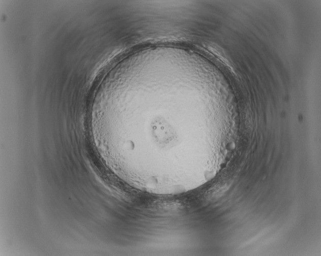 X0000069380491200606021610