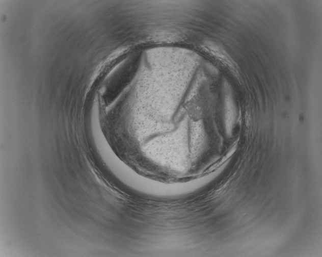 X0000069380492200606021610