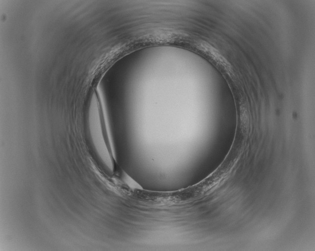 X0000069380493200606021610