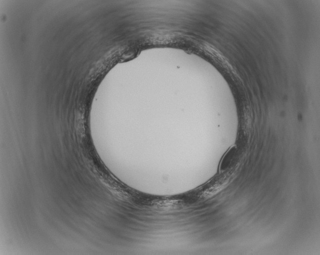 X0000069380497200606021610