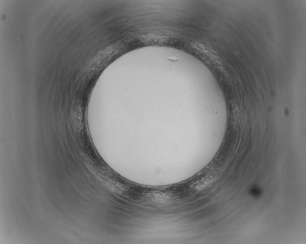 X0000069380498200606021610