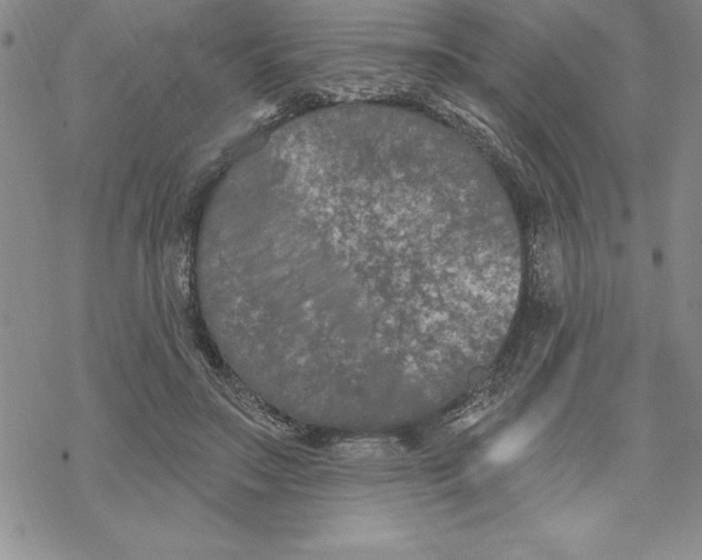 X0000069380499200606021610