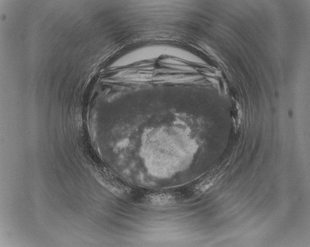 X0000069380500200606021610