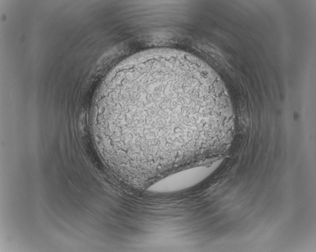 X0000069380503200606021610