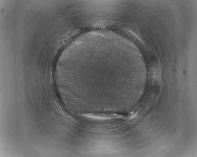 X0000069380504200606021610