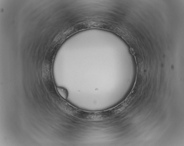 X0000069380506200606021610