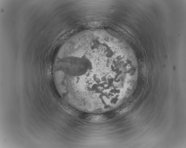 X0000069380507200606021610