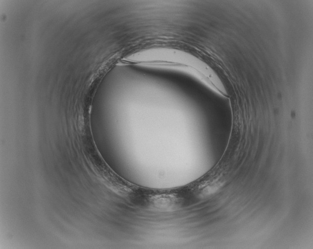 X0000069380508200606021610