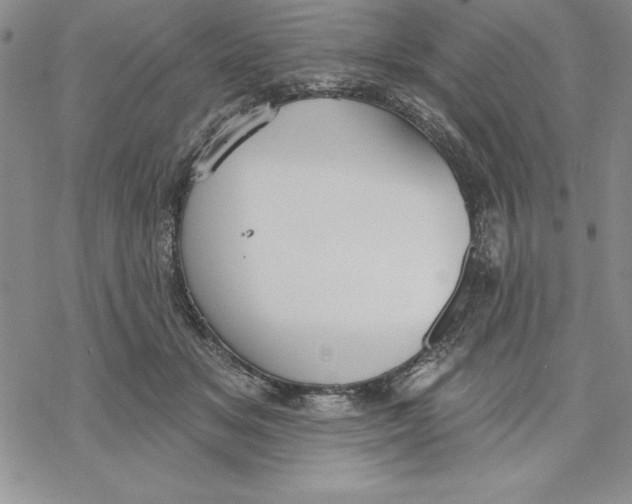 X0000069380509200606021610