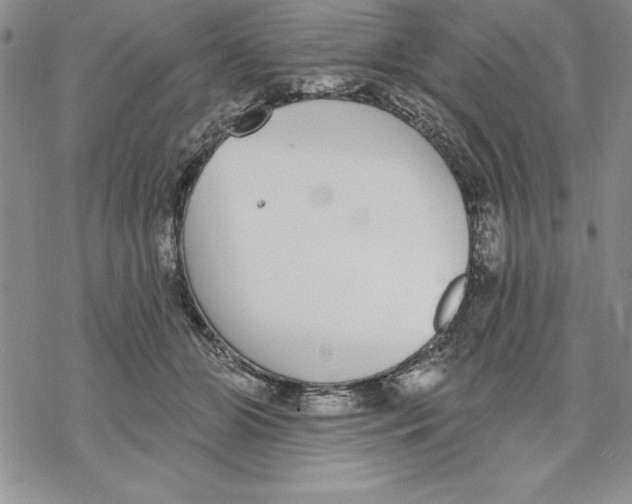 X0000069380510200606021610