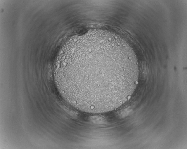 X0000069380511200606021610