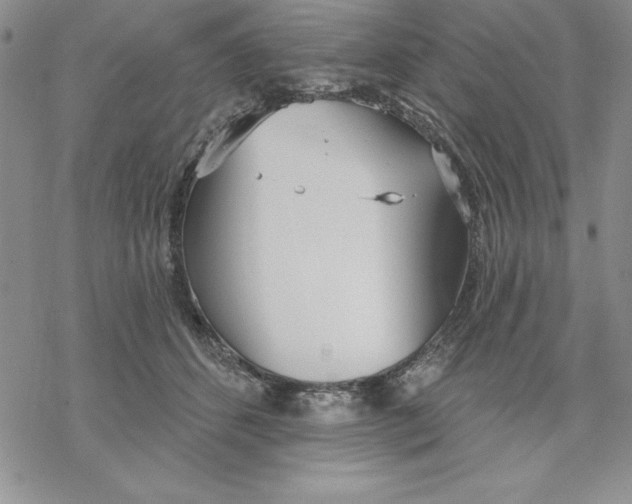 X0000069380512200606021610