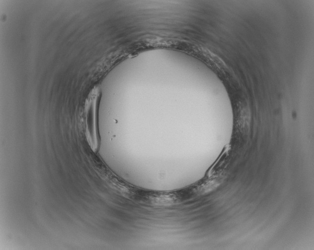 X0000069380513200606021610