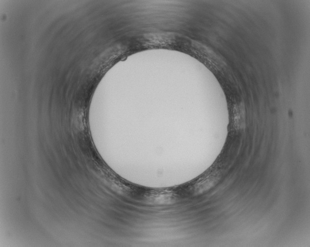 X0000069380514200606021610