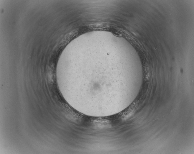 X0000069380515200606021610