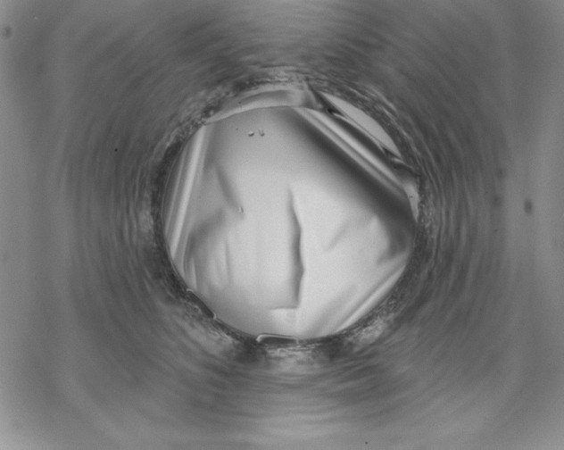 X0000069380516200606021610