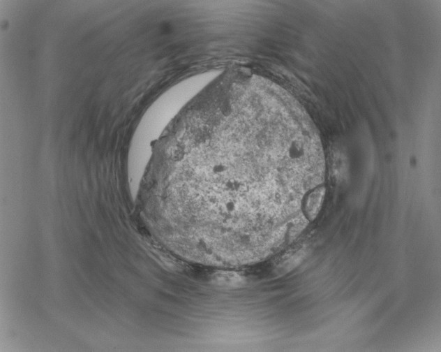 X0000069380519200606021610