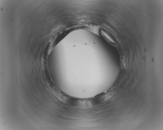 X0000069380520200606021610