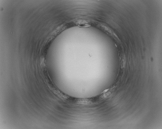 X0000069380521200606021610