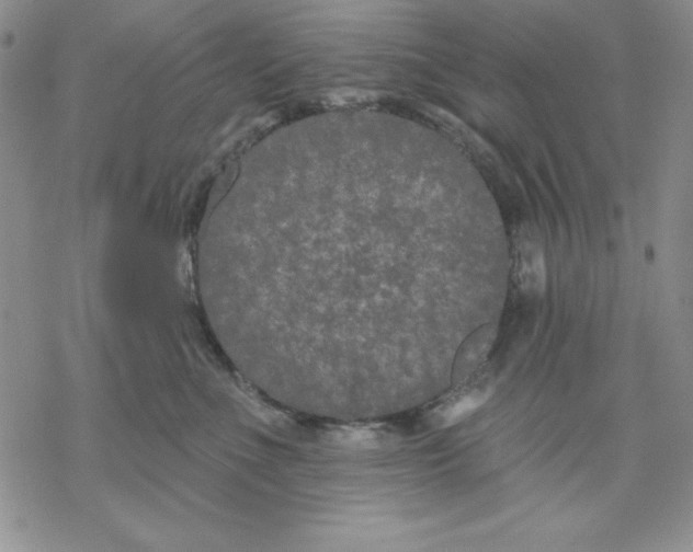 X0000069380523200606021610