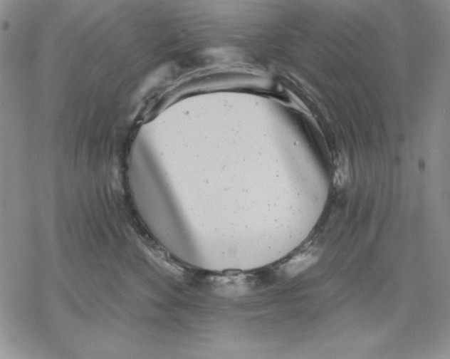 X0000069380524200606021610