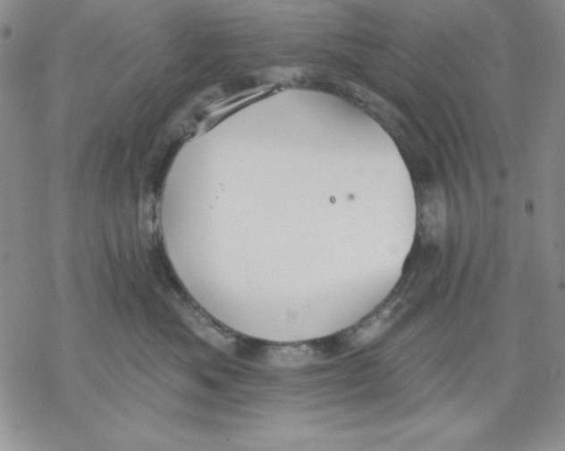 X0000069380525200606021610