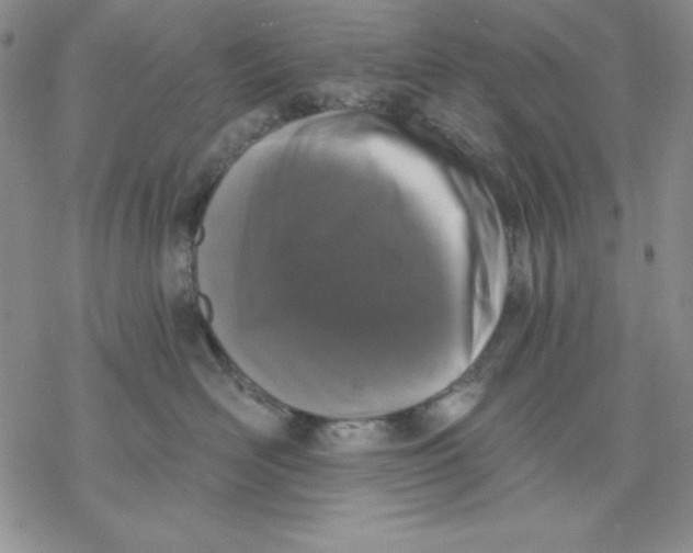 X0000069380526200606021610