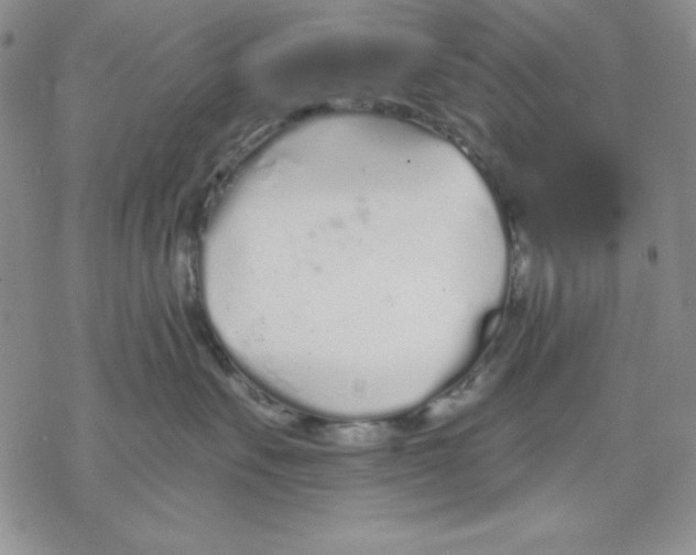 X0000069380527200606021610