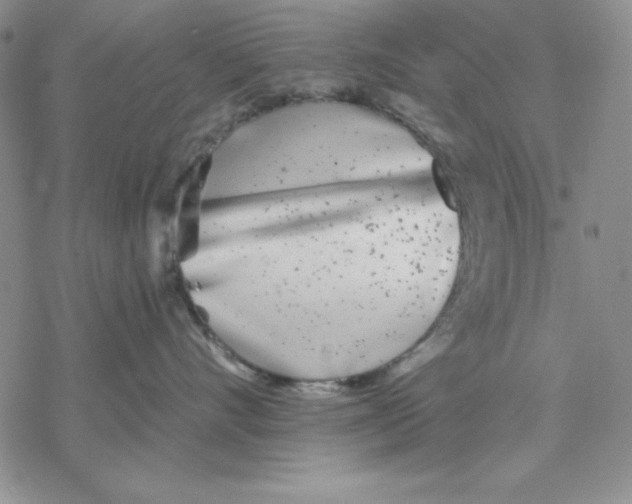 X0000069380528200606021610