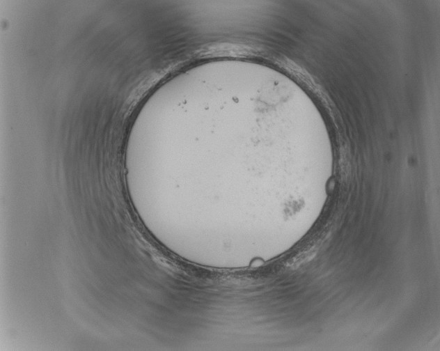 X0000069380529200606021609