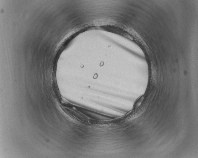 X0000069380530200606021609