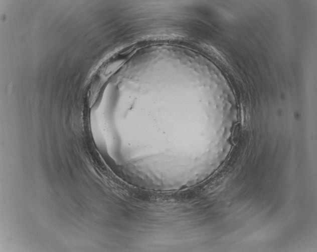 X0000069380531200606021609