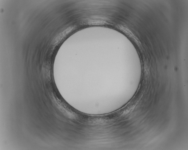 X0000069380533200606021609