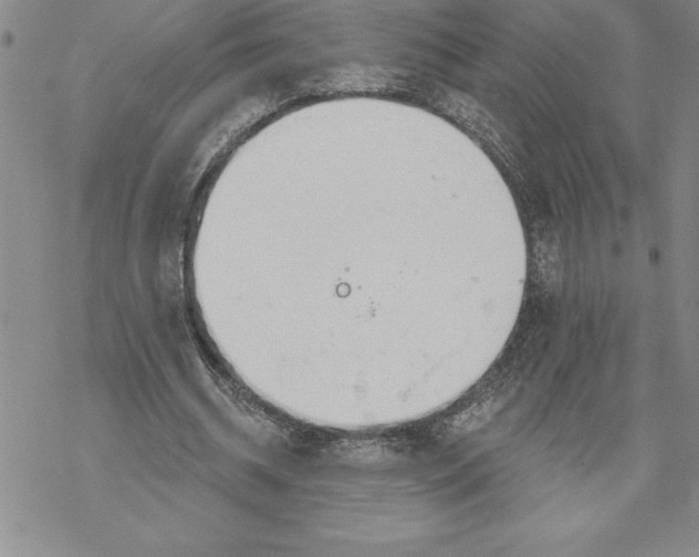 X0000069380534200606021609