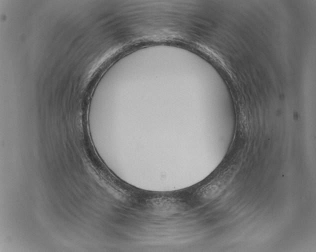 X0000069380535200606021609