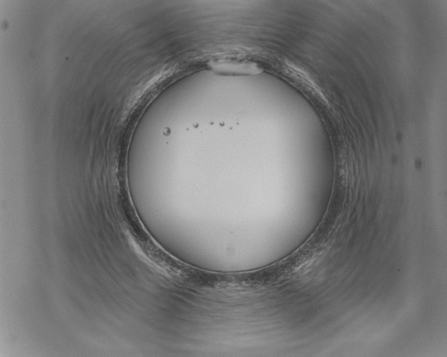 X0000069380538200606021609