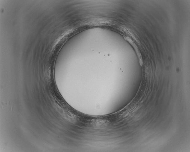 X0000069380539200606021609