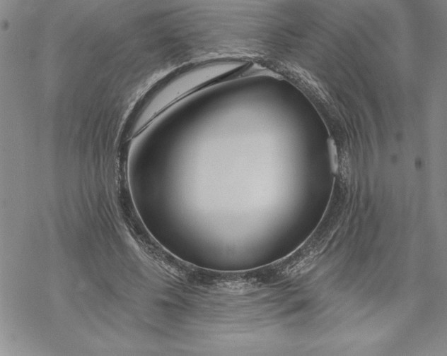 X0000069380540200606021609