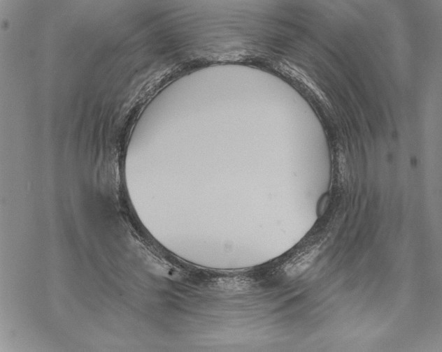 X0000069380541200606021609